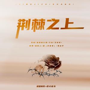 海棠调教SP打屁男男
